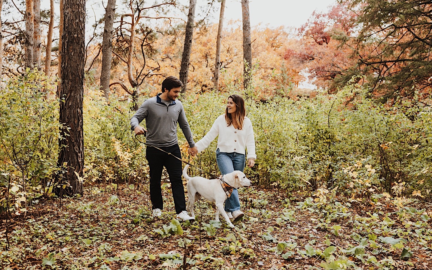 A couple walk their dog through a forest in Theodore Wirth Park in Minneapolis during their engagement session
