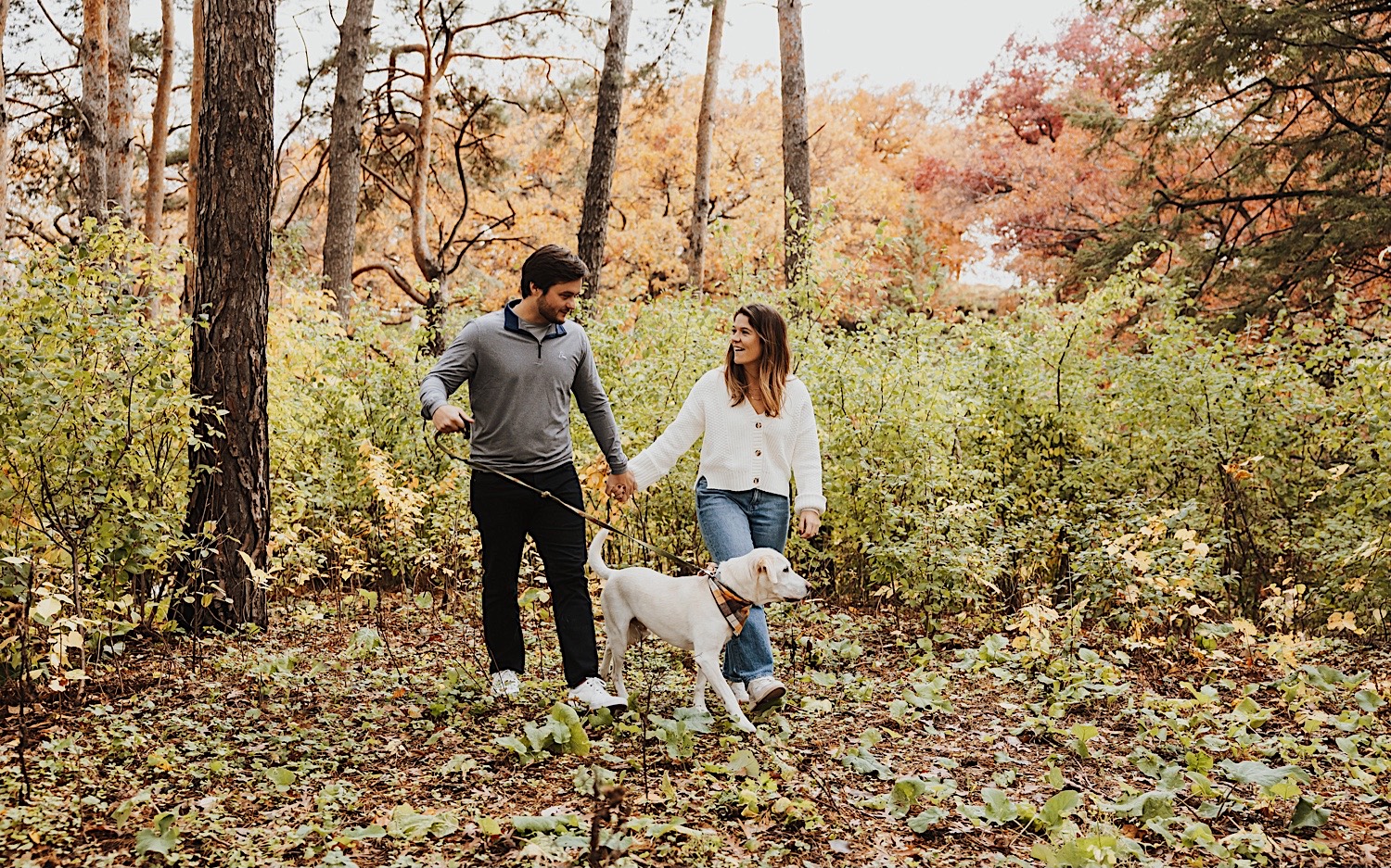 A couple walk their dog through a forest in Theodore Wirth Park in Minneapolis during their engagement session A couple walk their dog through a forest in Theodore Wirth Park in Minneapolis during their engagement session
