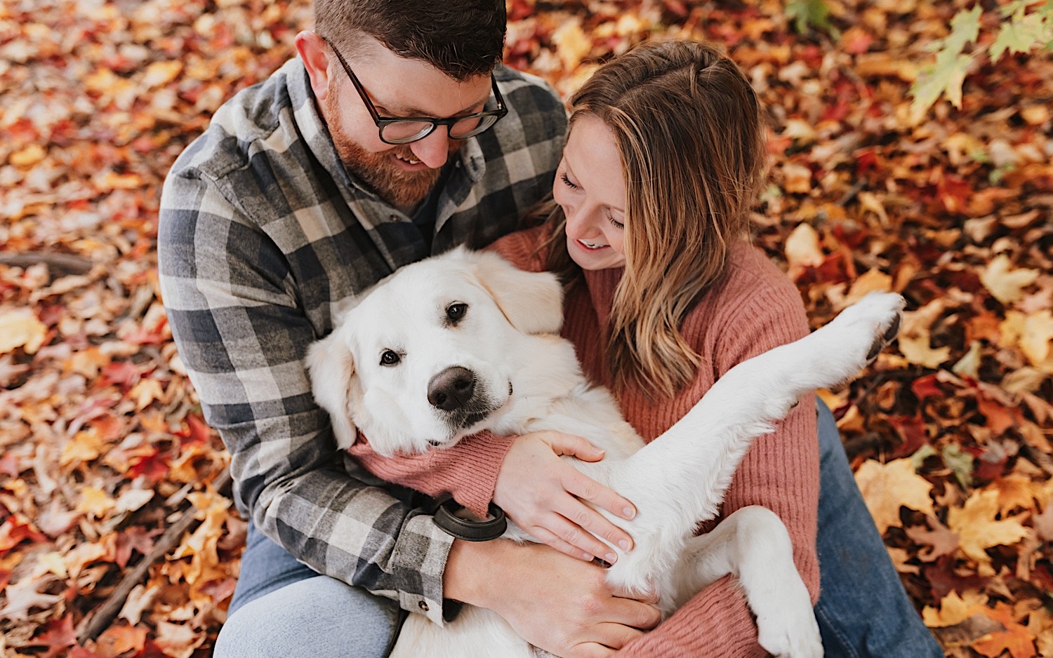 A couple sit on the ground covered in leaves and look down at their dog who is laying on their laps between them during their fall engagement session in Winona