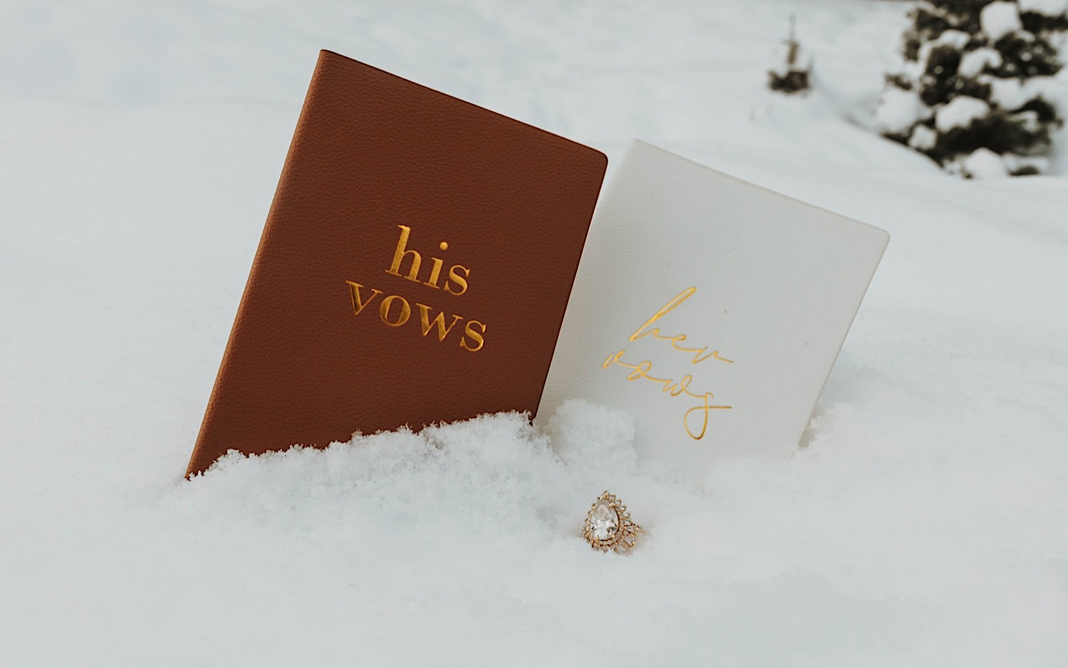 2 books reading "his vows" and "her vows" sit in the snow with a wedding ring in between them