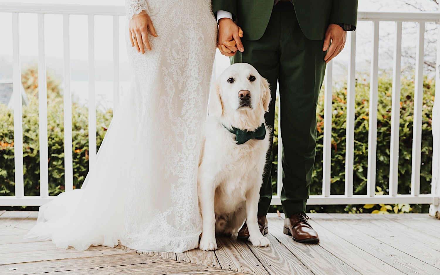 A dog sits in between a bride and groom and looks at the camera while the two stand for a portrait photo on the front porch of a home